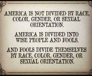 Divided By Fools