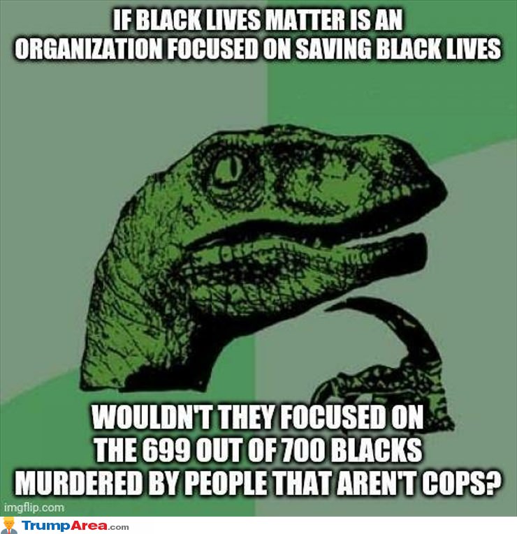 Do Black Lives Matter To Them