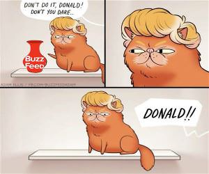 Do It Donald I Dare You