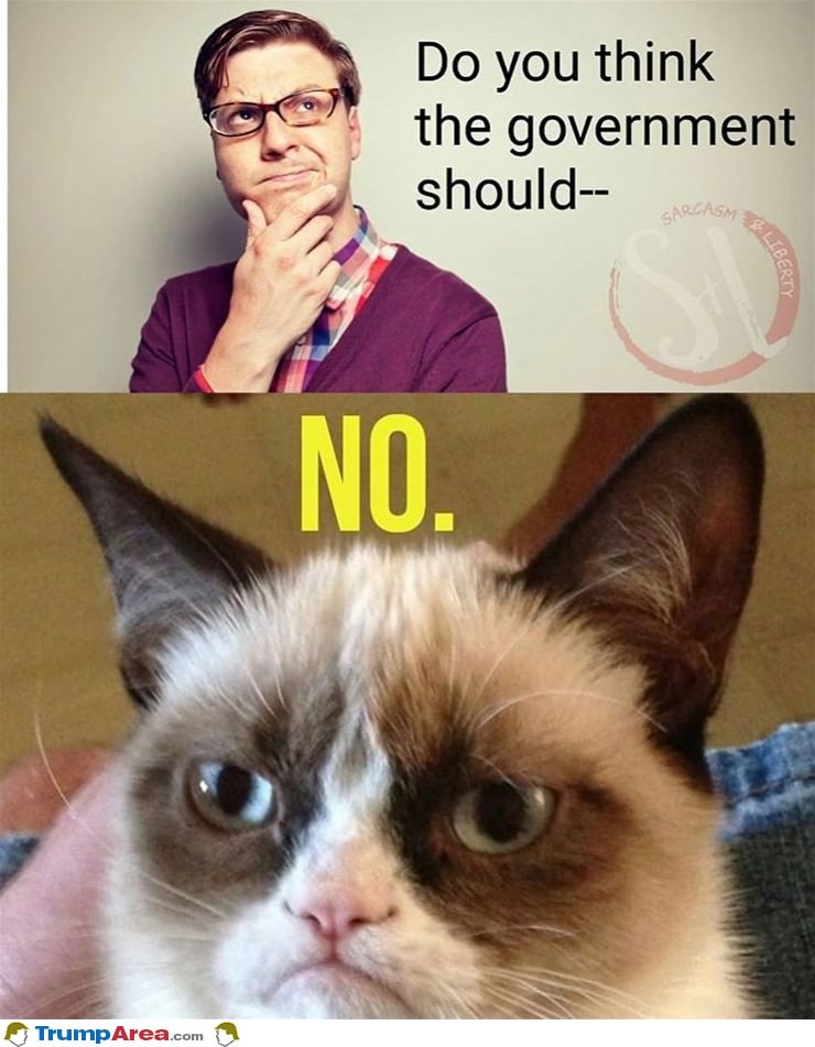 Do You Think The Government Should