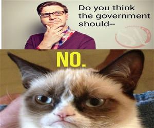 Do You Think The Government Should
