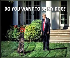 Do You Want To Be My Dog