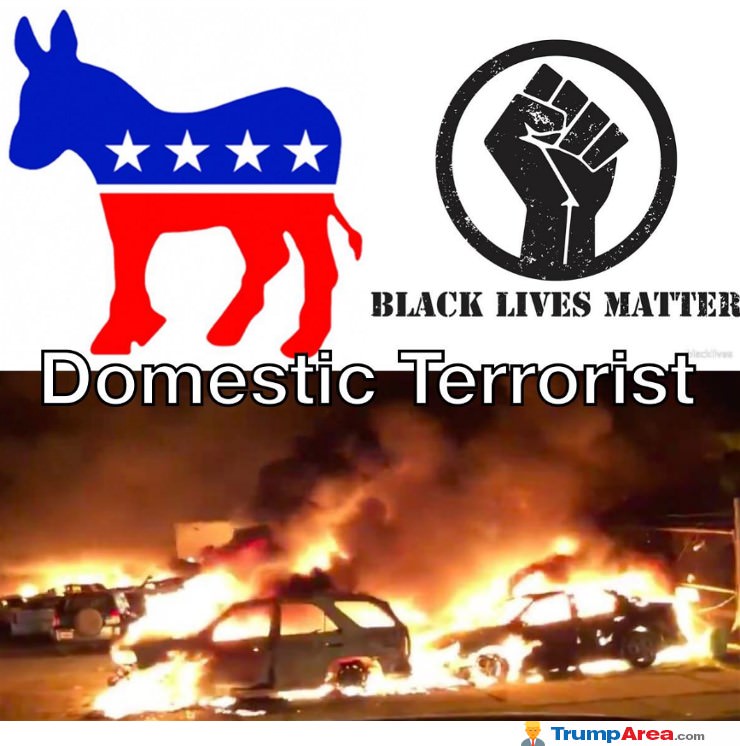 Domestic Terrorists