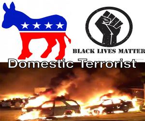 Domestic Terrorists
