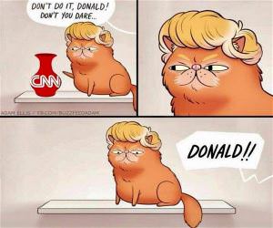 Don't Do It Donald
