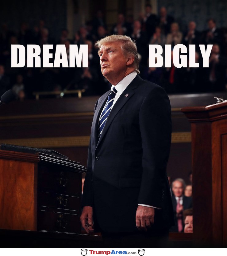 Dream Bigly