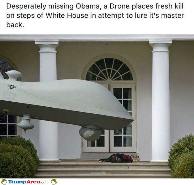 Drone Misses Obama