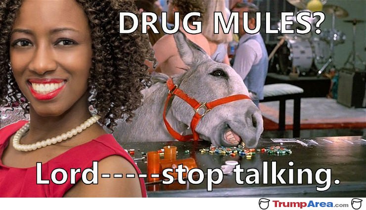 Drug Mules