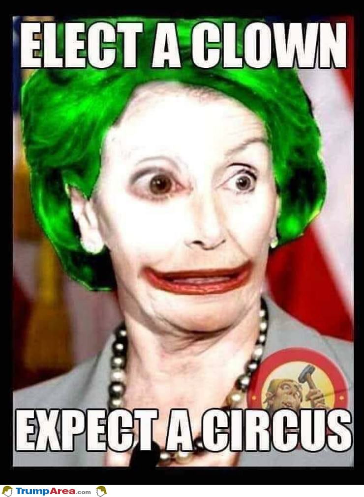Elect A Clown