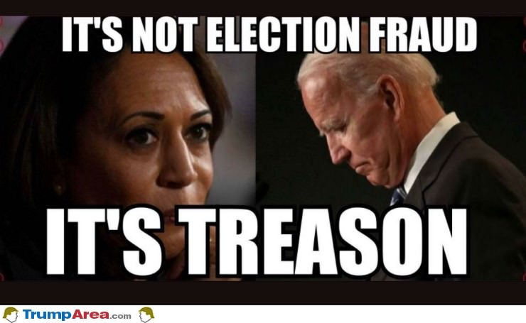 Election Fraud