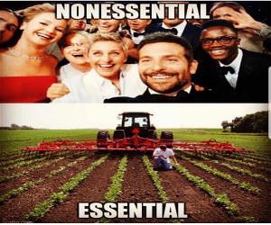 Essential