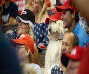 Even The Dog