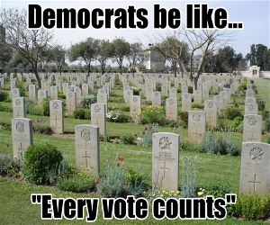 Every Vote Counts