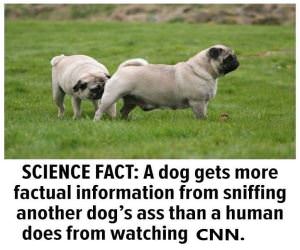 Fact