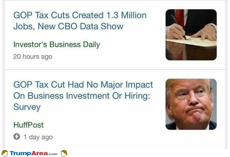 Fake News Every Day