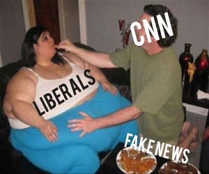 Fake News Hungry