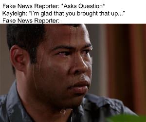 Fake News Reporter