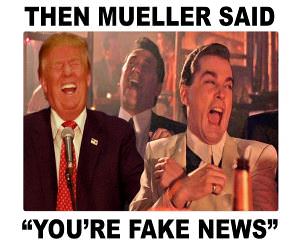 Fake