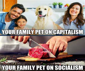 Family Pet