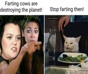 Farting Cows