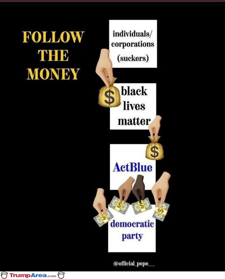 Follow The Money