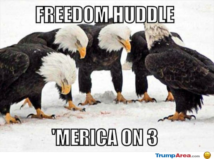 Freedom Huddle