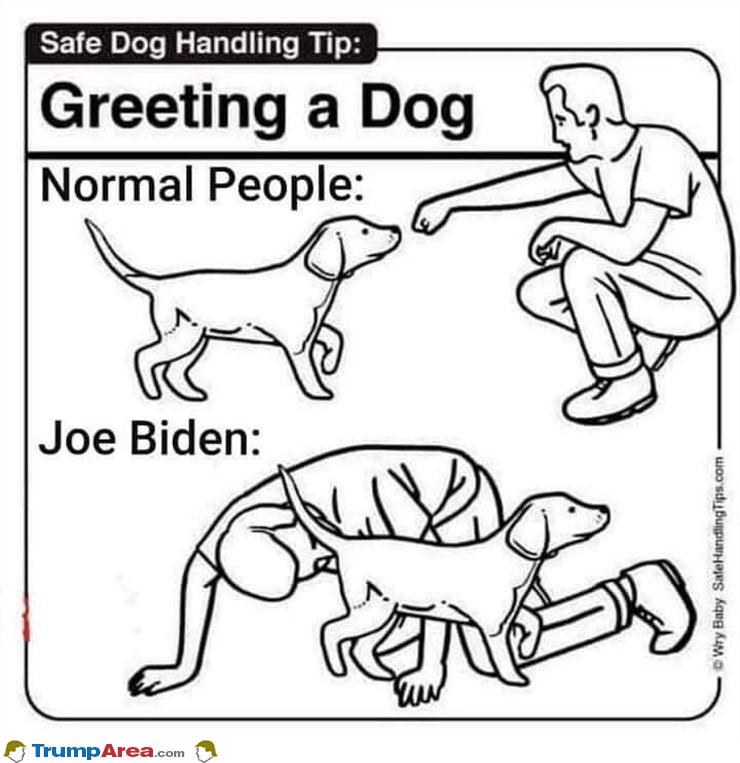 Greeting The Dog