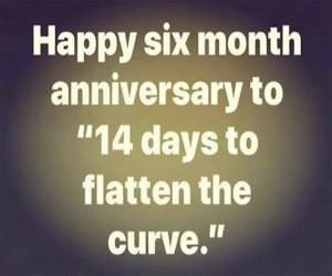 Happy 6 Months