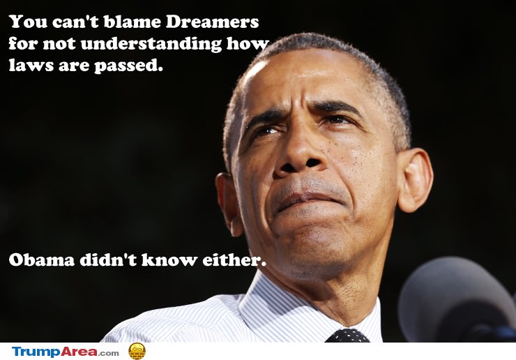 Hard To Blame Dreamers