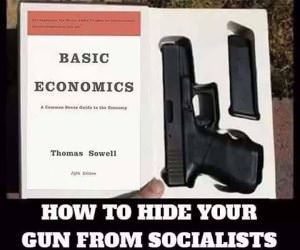 Hide Your Gun From Socialists
