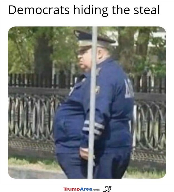 Hiding The Steal