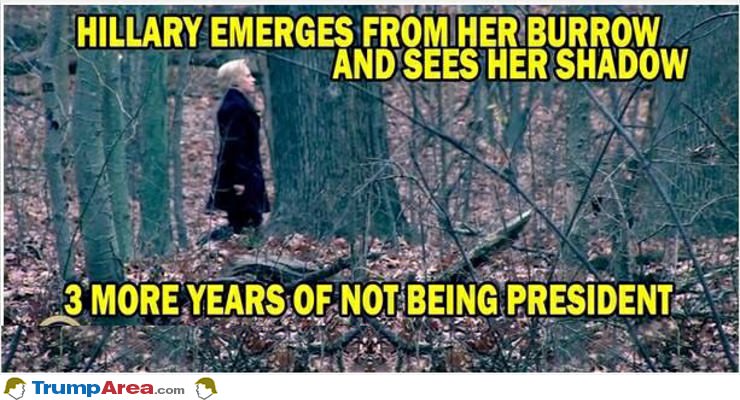 Hillary Emerges