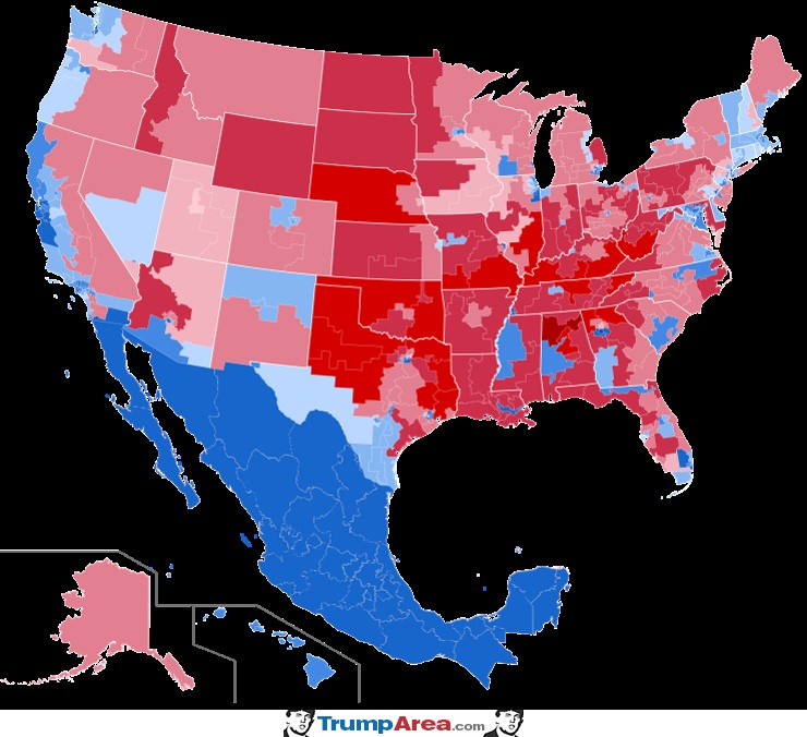 How Democrats See 2020