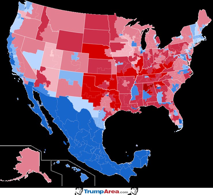 How Democrats See 2020