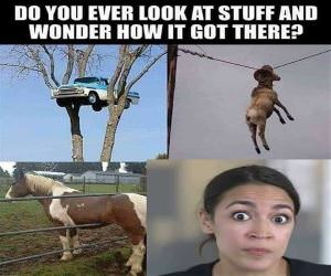 How Did That Get There