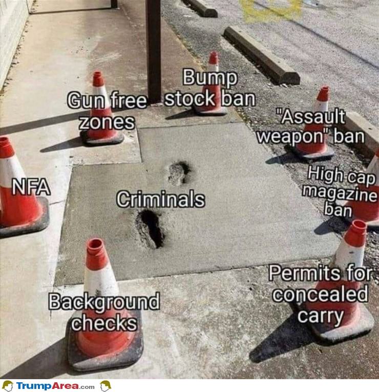 How Gun Laws Work