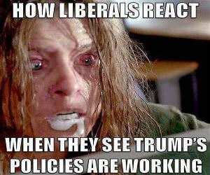 How Liberals React
