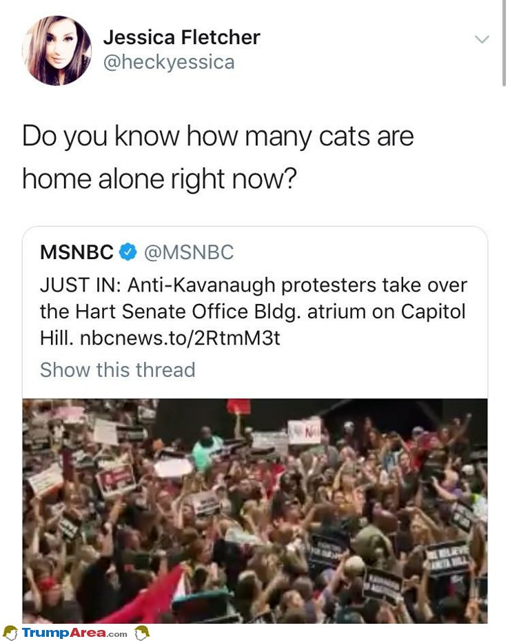 How Many Cats