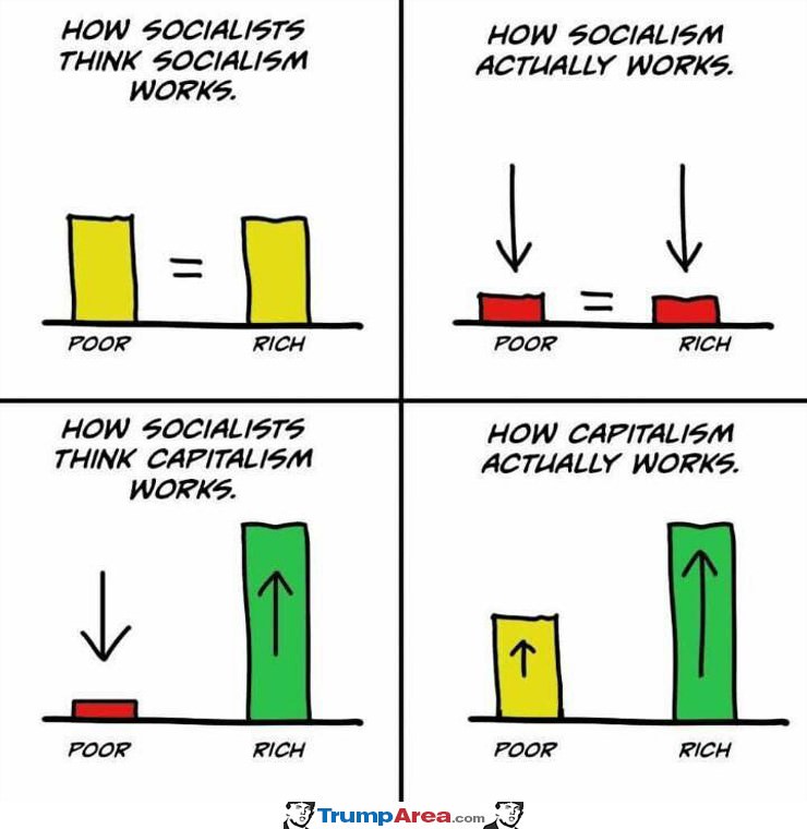 How Socialists Think