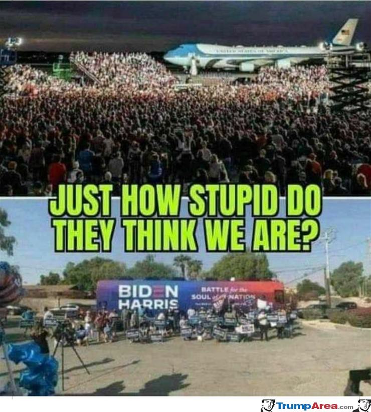 How Stupid