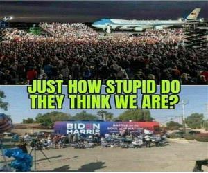 How Stupid