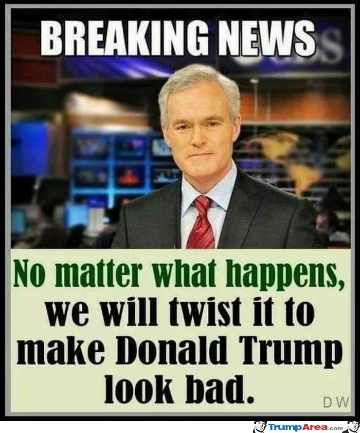 How The Fake News Works