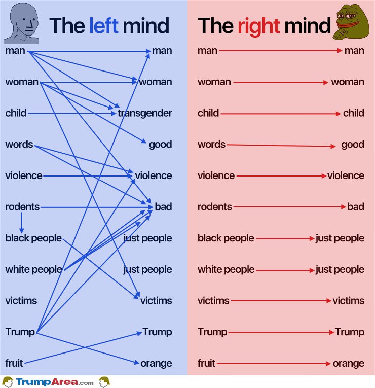How The Minds Work