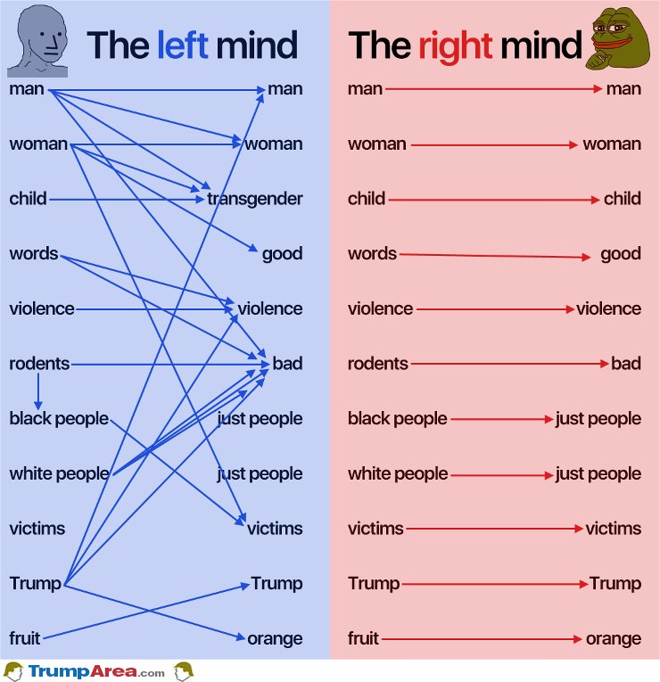 How The Minds Work