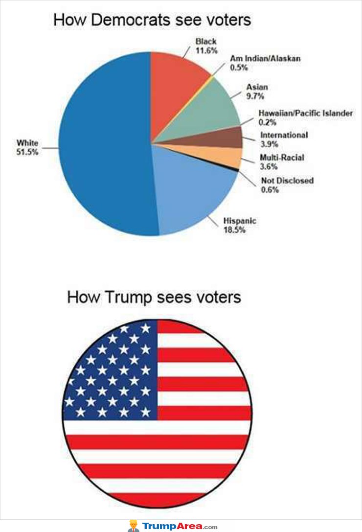 How They See Voters