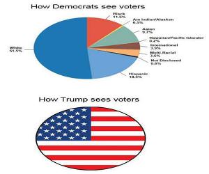 How They See Voters