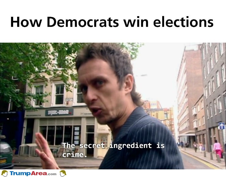 How They Win Elections
