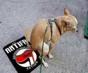 How We Feel About Antifa