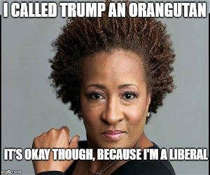 I Called Trump A Monkey