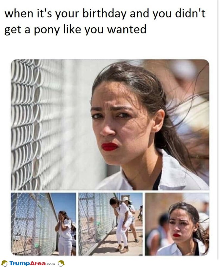 I Wanted A Pony